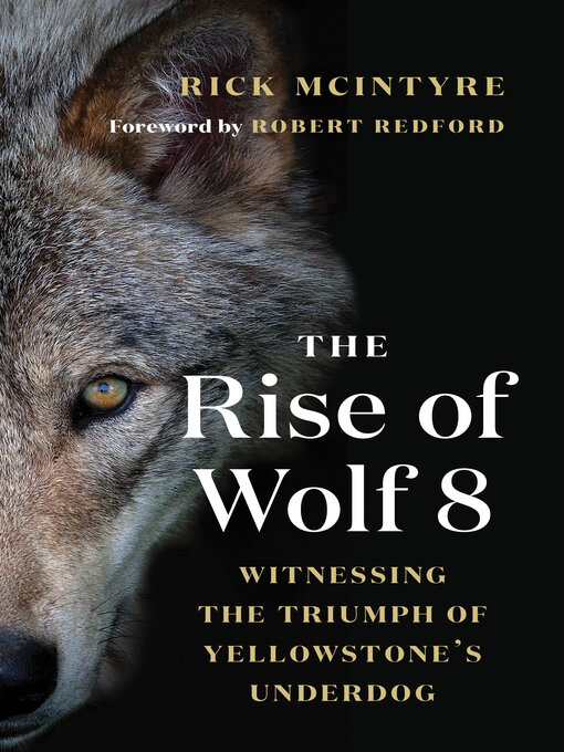 Title details for The Rise of Wolf 8 by Rick McIntyre - Wait list